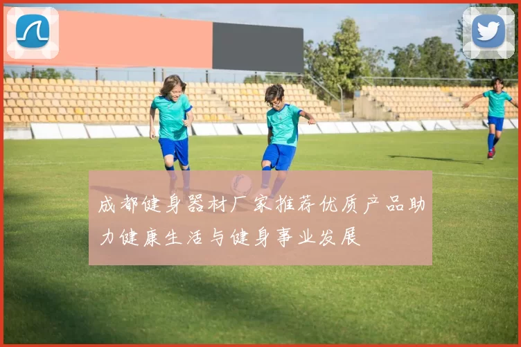 成都健身器材厂家推荐优质产品助力健康生活与健身事业发展