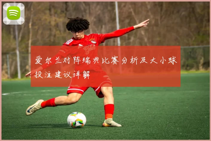 爱尔兰对阵瑞典比赛分析及大小球投注建议详解